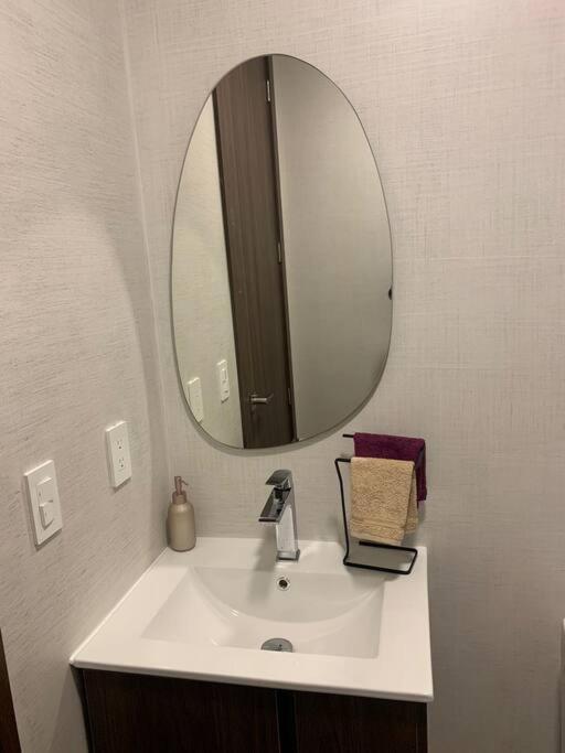 Confort Suite La Carolina Quito Zewnętrze zdjęcie